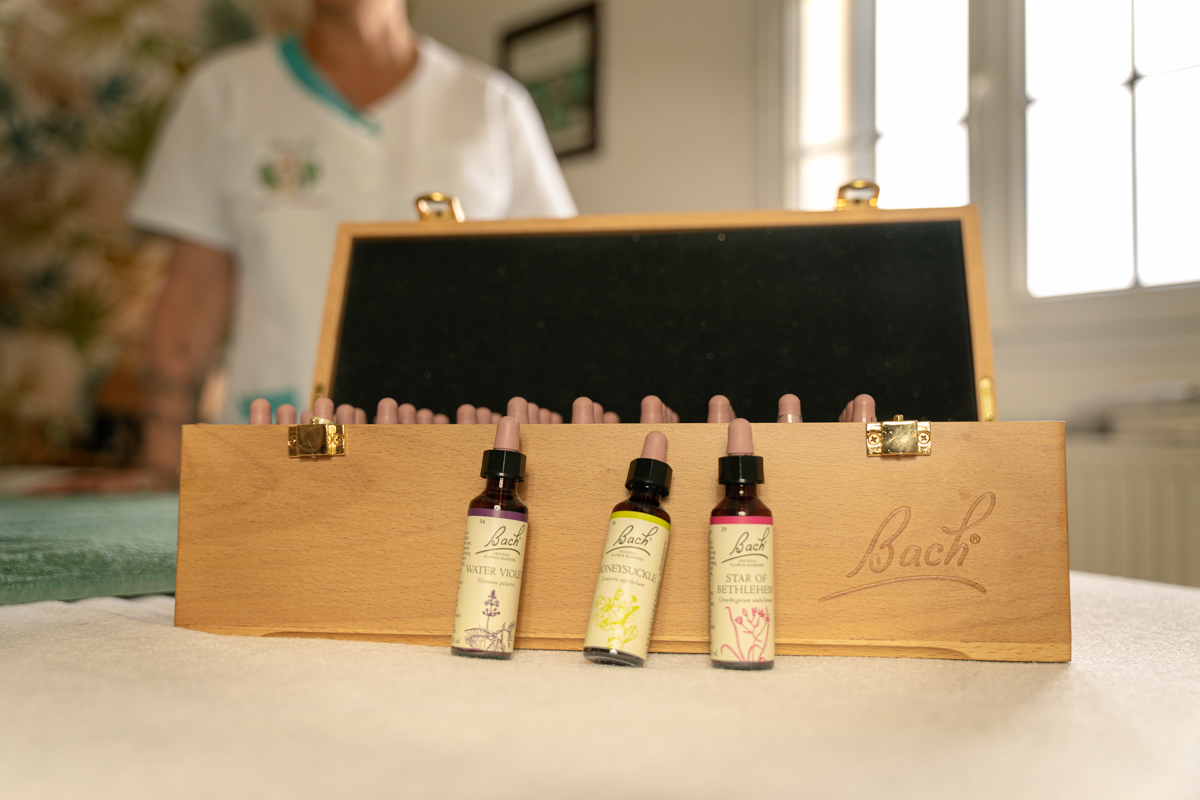 Fleurs de Bach : allié de votre équilibre émotionnel à Rogerville (près du Havre)